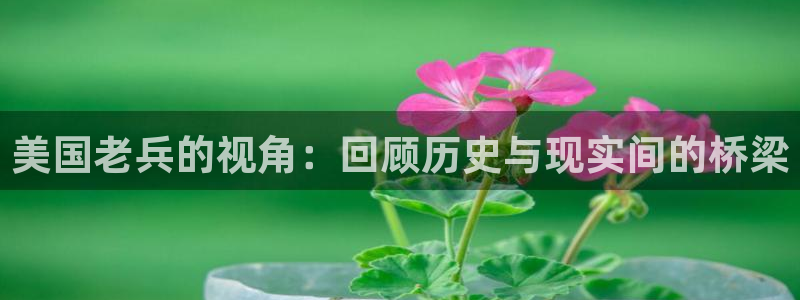 西瓜高清看电影