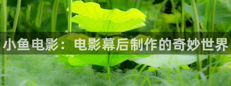 大西瓜影院