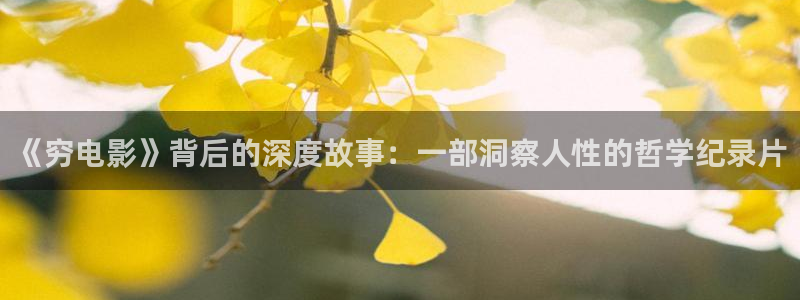 完美的他电视剧免费观看西瓜
