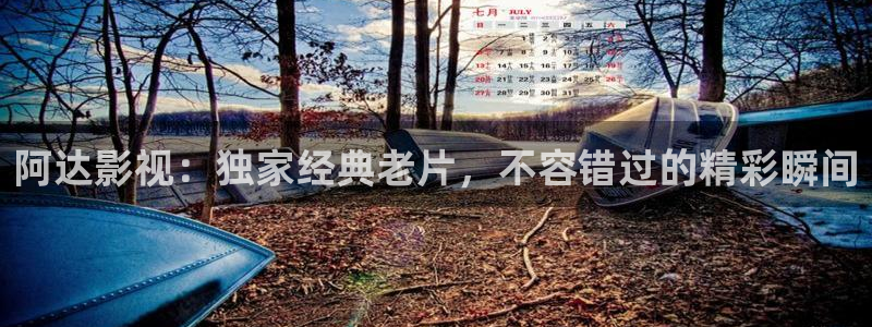 西瓜影视下载