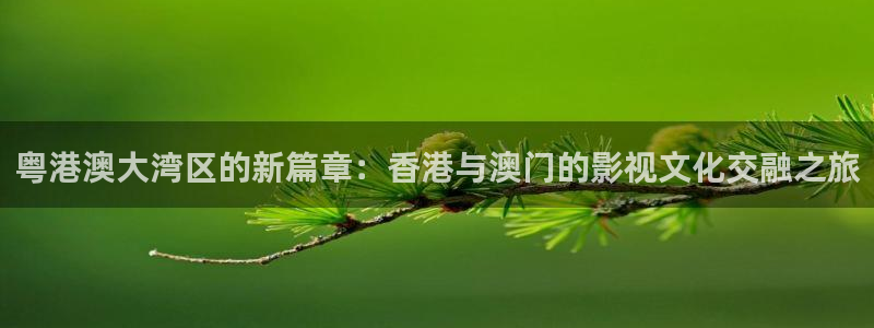 还珠格格2西瓜影院