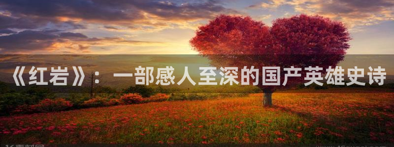 西瓜视频西瓜视频