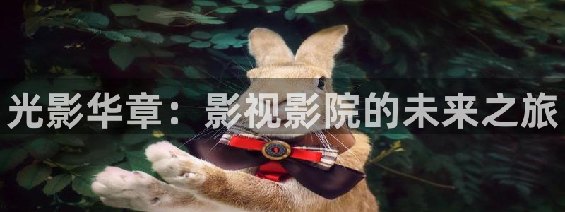 在线观看西瓜视频