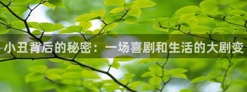 谁说我结不了婚免费观看西瓜
