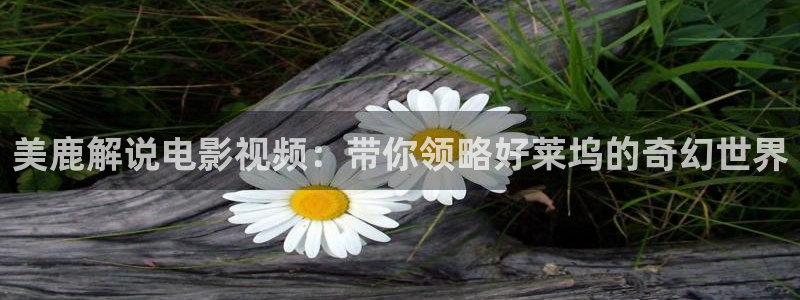 西瓜视频正版