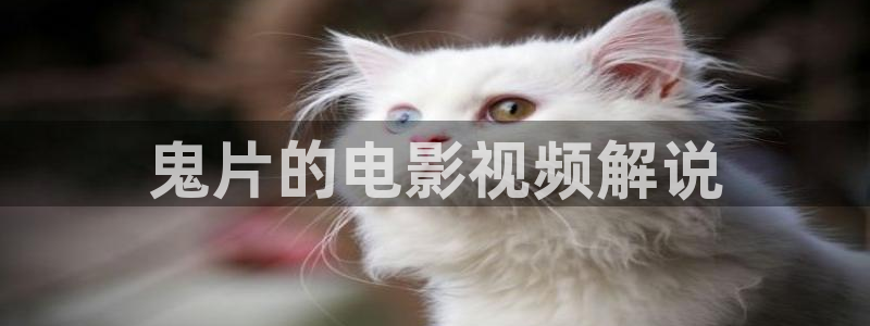 西瓜影院不卡
