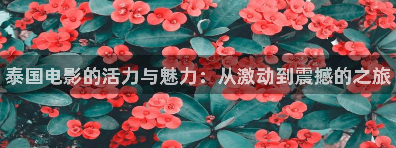 新闻图片