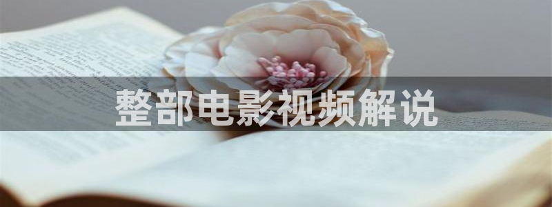海贼王西瓜在线